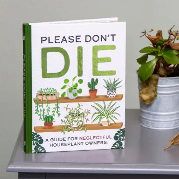 Please Don't Die - A Guide For Neglectful Houseplant Owners