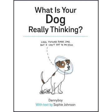 What Is Your Dog Really Thinking