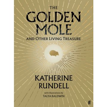 Golden Mole