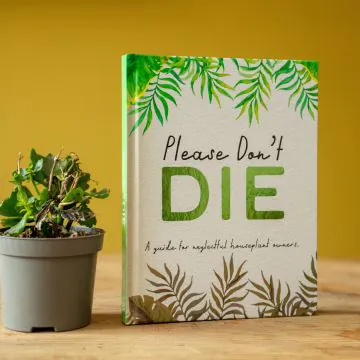 Please Don't Die - A Guide For Neglectful Houseplant Owners