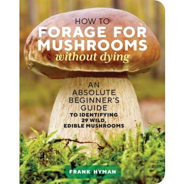 How to Forage for Mushrooms Without Dying