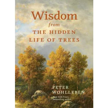 Wisdom From the Hidden Life of Trees