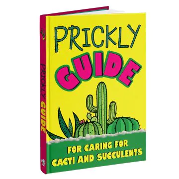 Prickly Guide to Caring for Cacti & Succulents