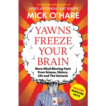 Yawns Freeze Your Brain