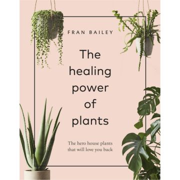 The Healing Power Of Plants