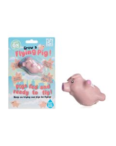 Grow Your Own Flying Pig