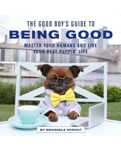 Good Boys Guide to Being Good